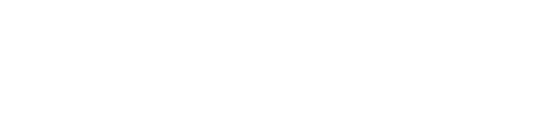 ElSewedy